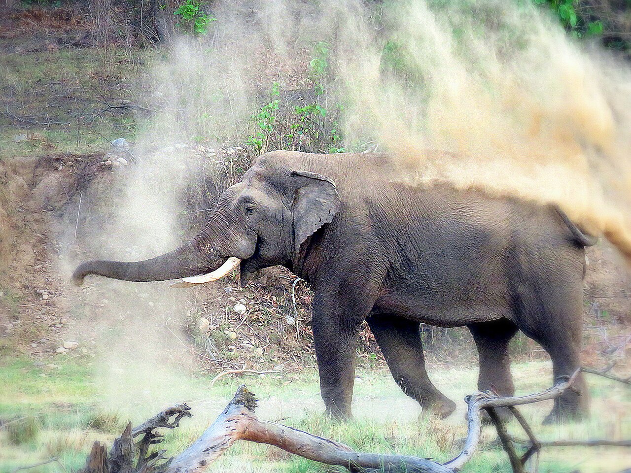 3 day Haridwar, photo 5